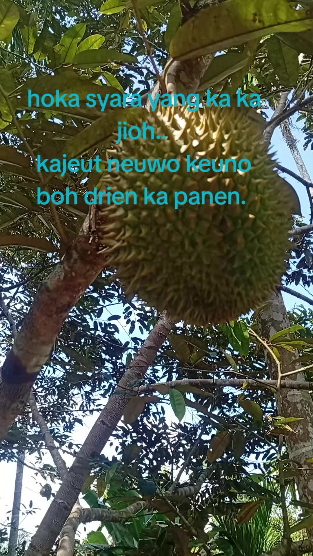@T.Arsyah