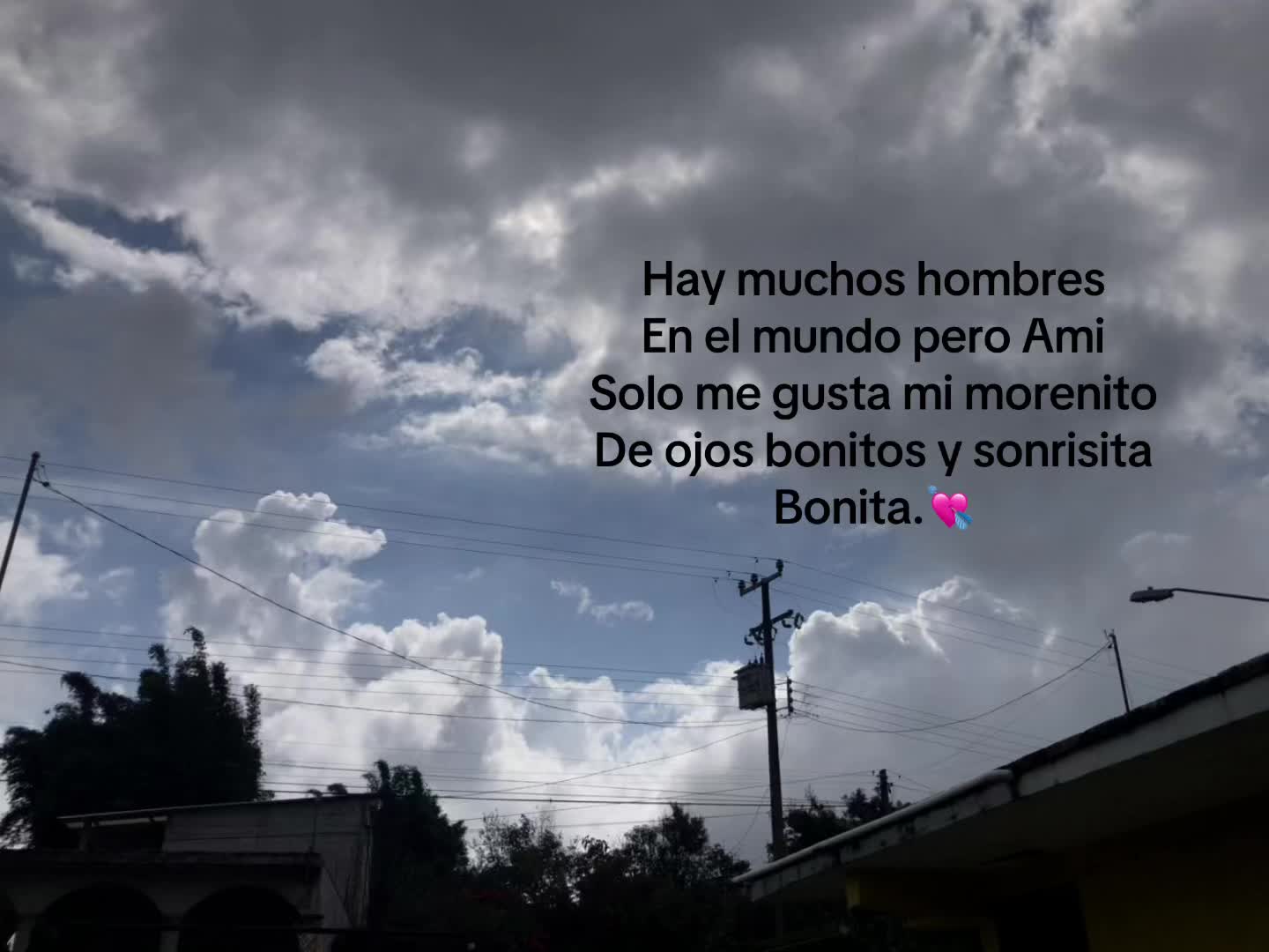 @magi_817