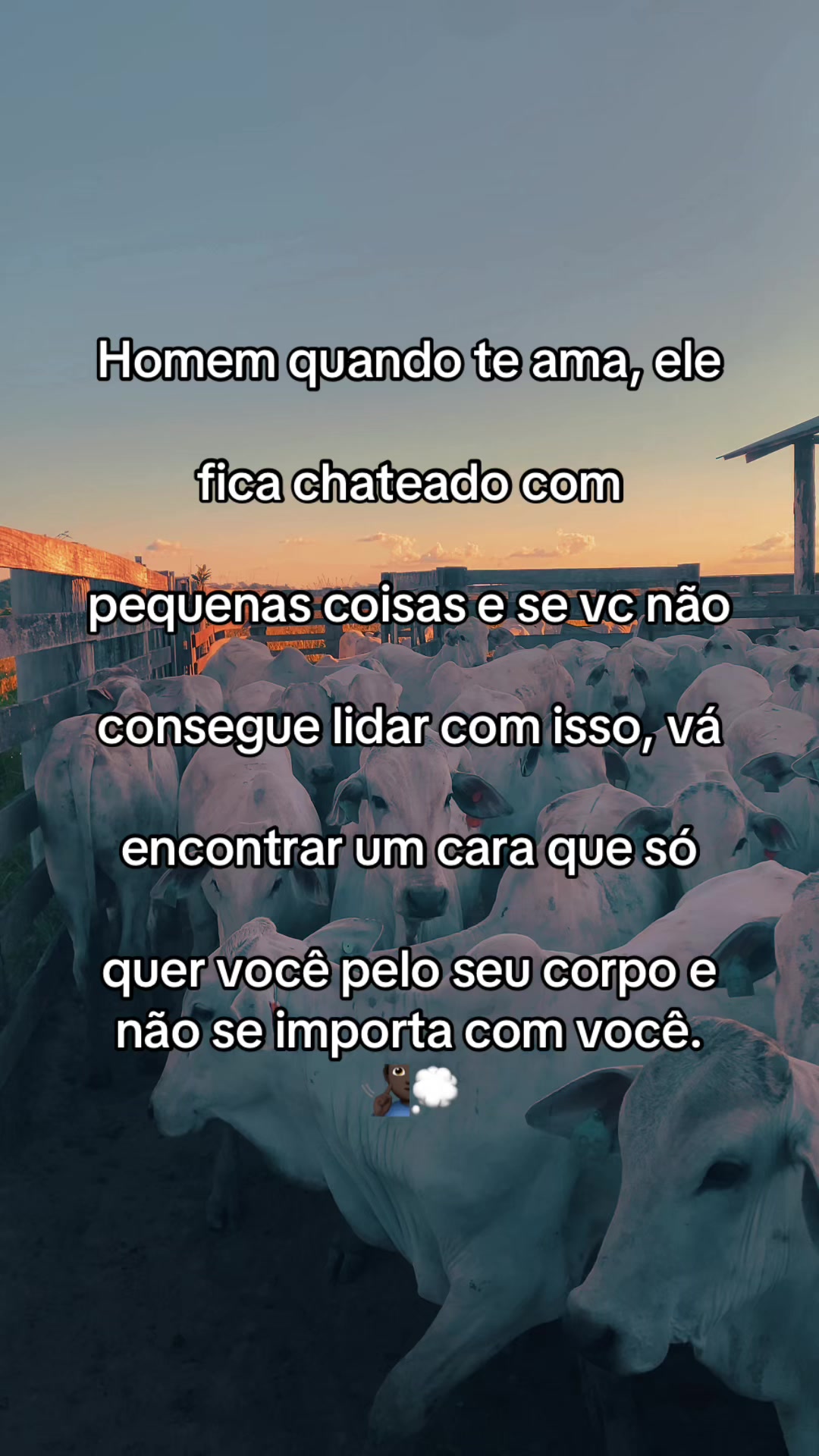 @📿K&Aacute;SSIO.agro𓃗🤠