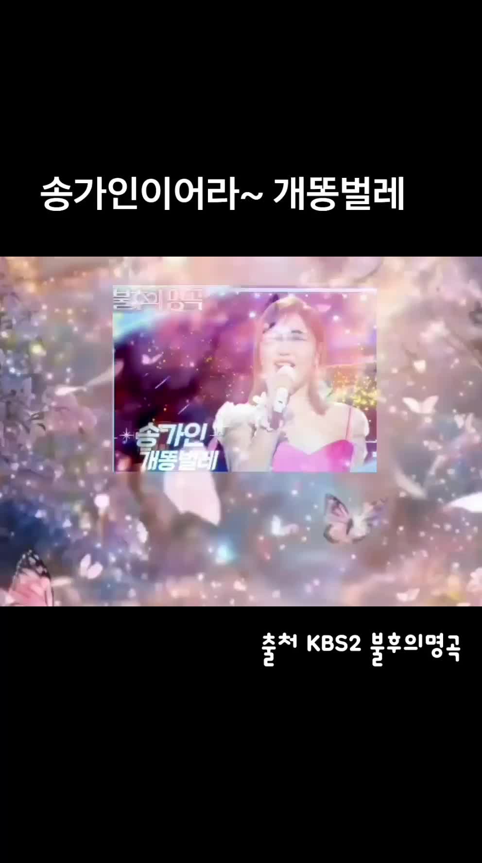 @Bogus.Tv