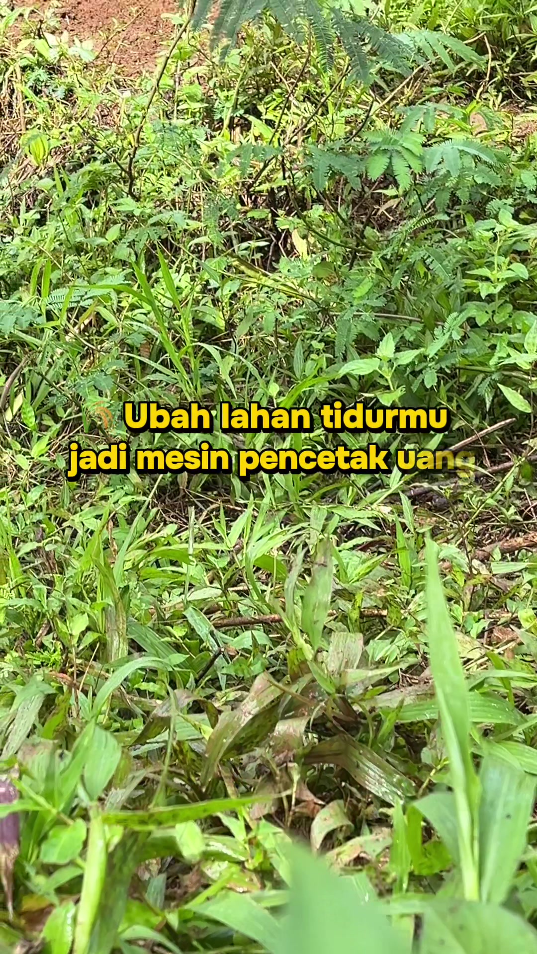 @RATU BIBIT
