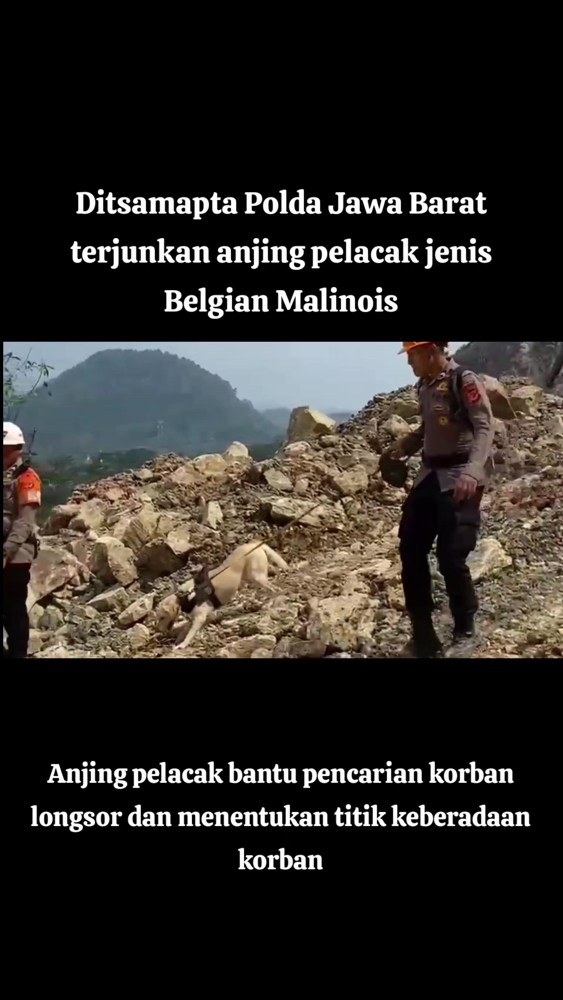 @Muhammad Solihin