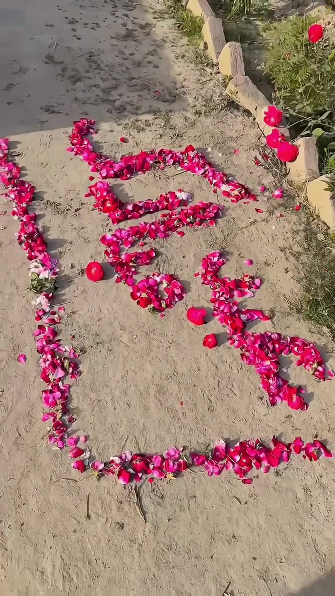 @ابوبکر اعوان (گل والا )