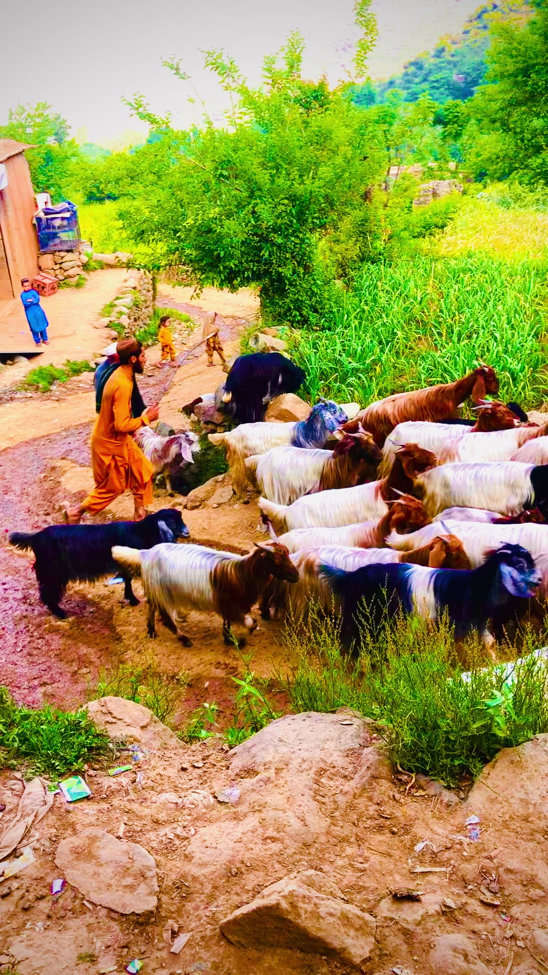 @Khubaib💫khan💔ss