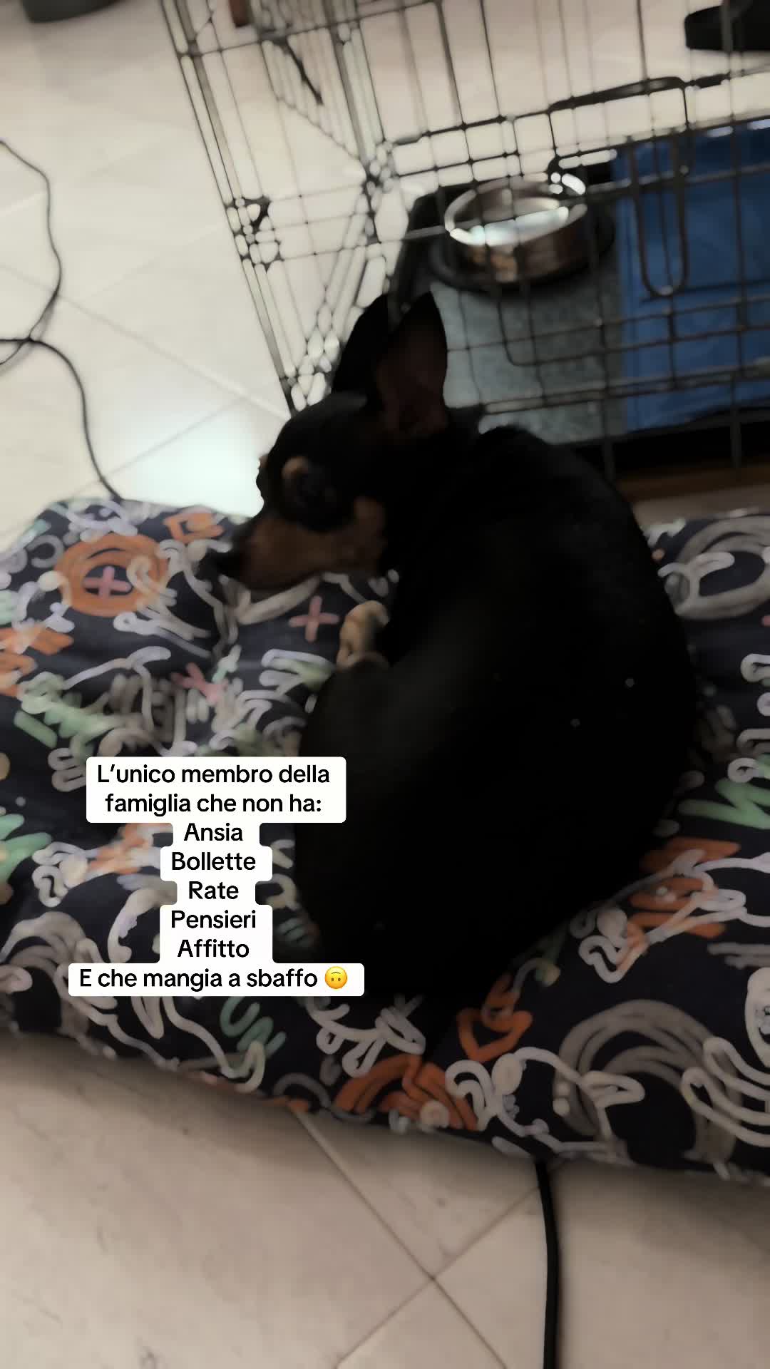 @Ilaria.Lussu