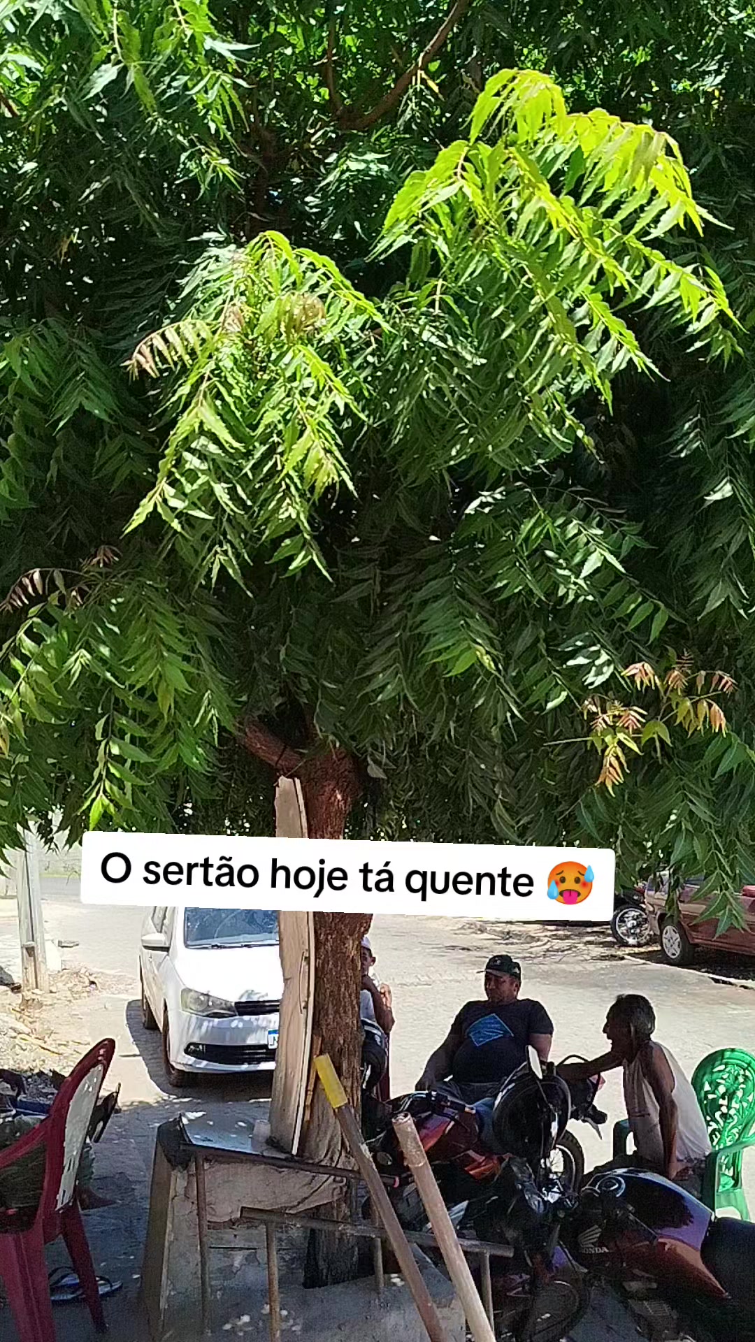 @Maura e vô Cassimiro 👴🏼