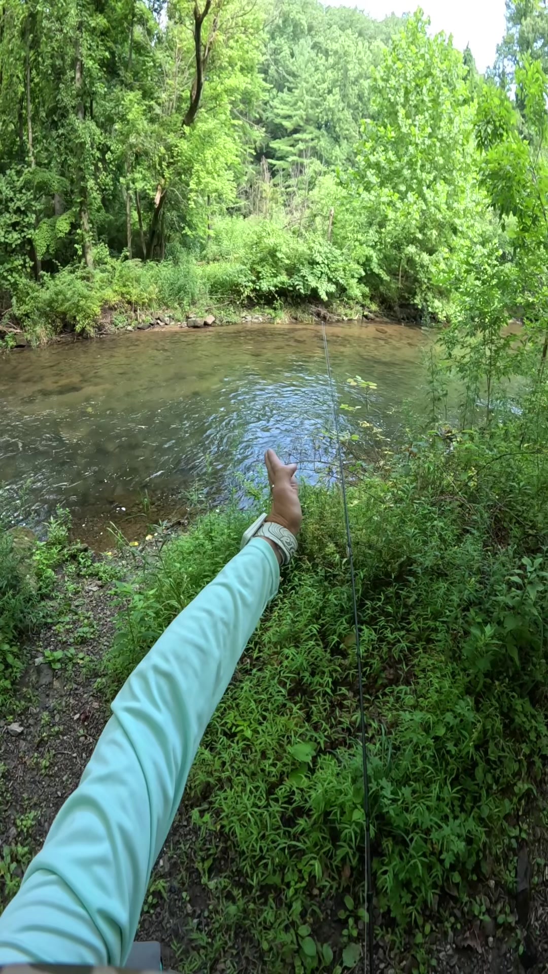 @FlyFishDelawhere