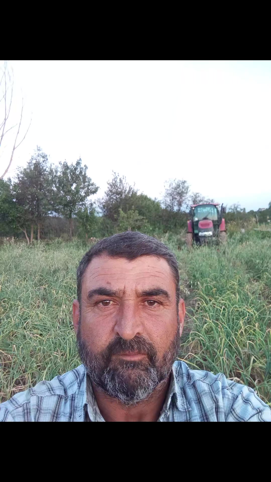 @mustafa Gül
