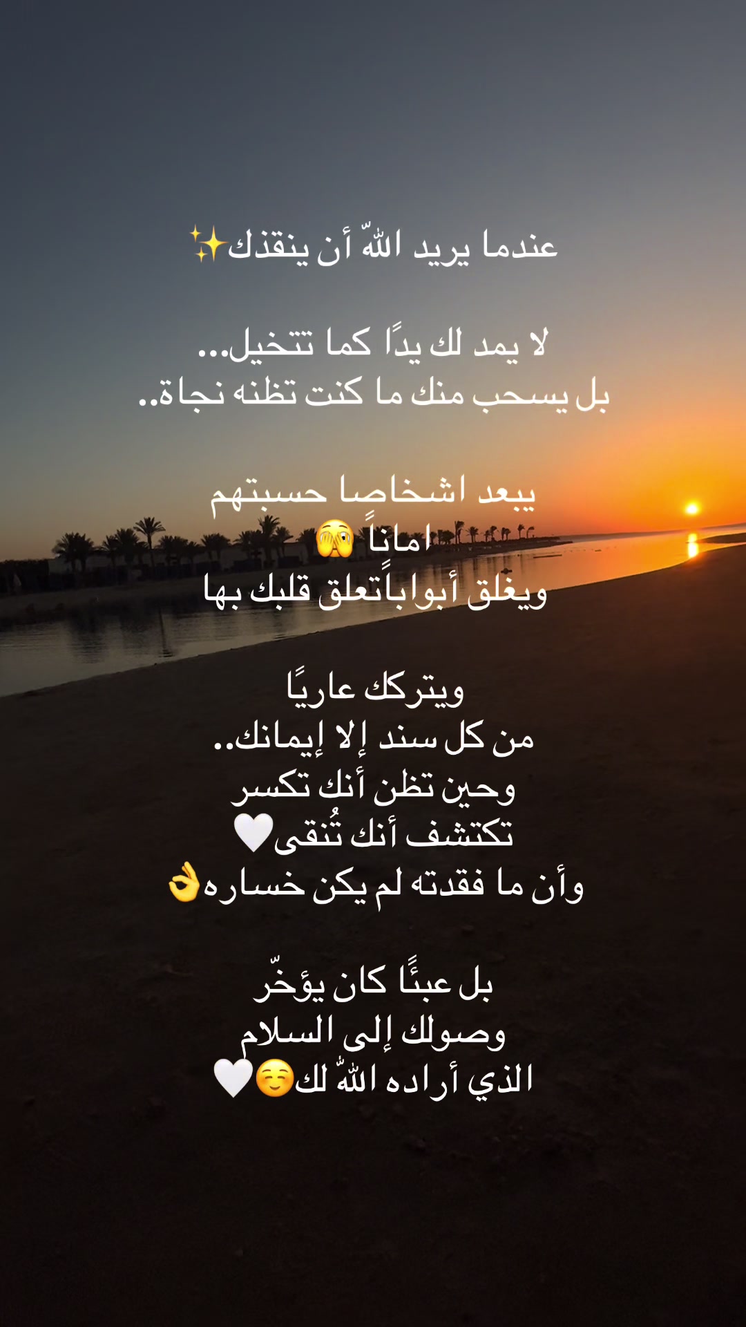 @Dr Sara Hamed