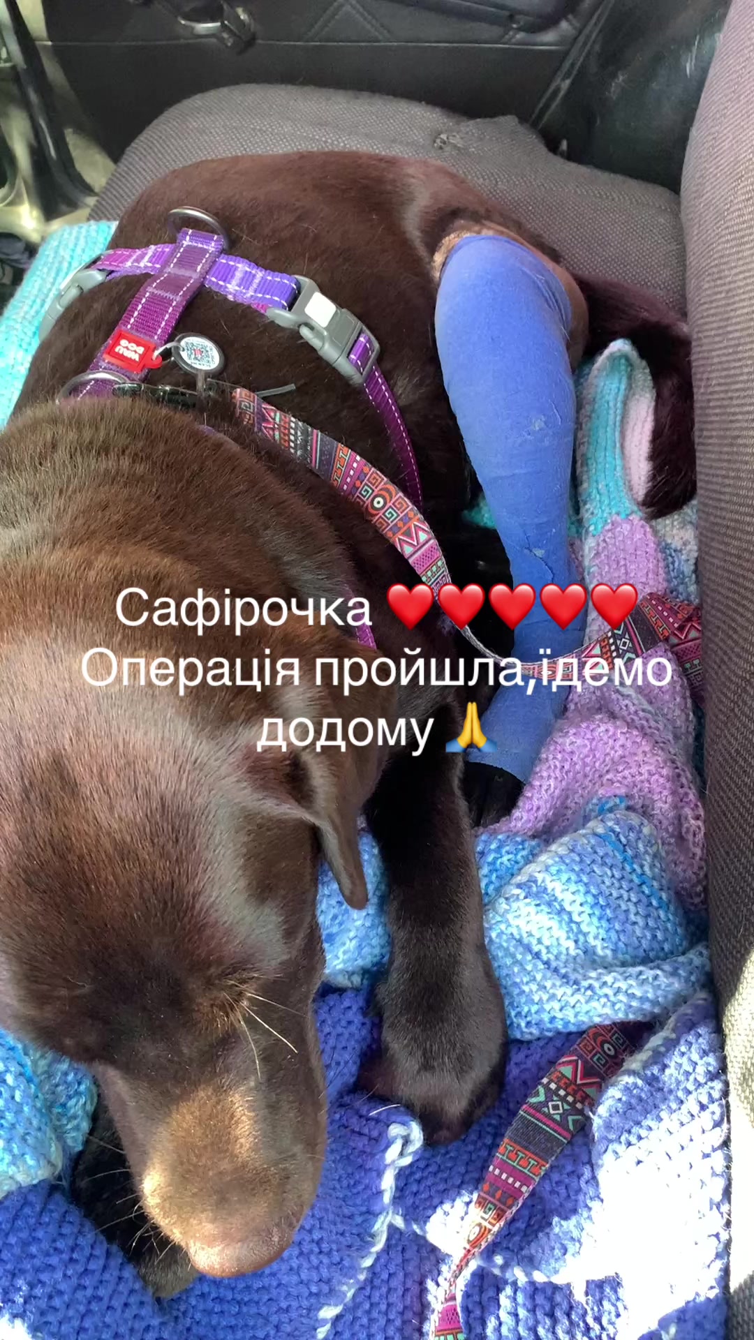 @Oksana