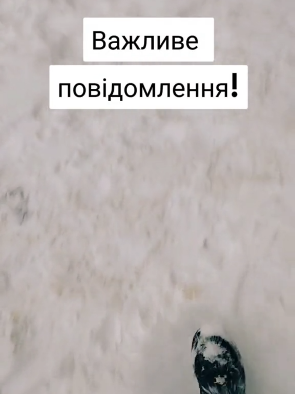 @Margo 😻🌹