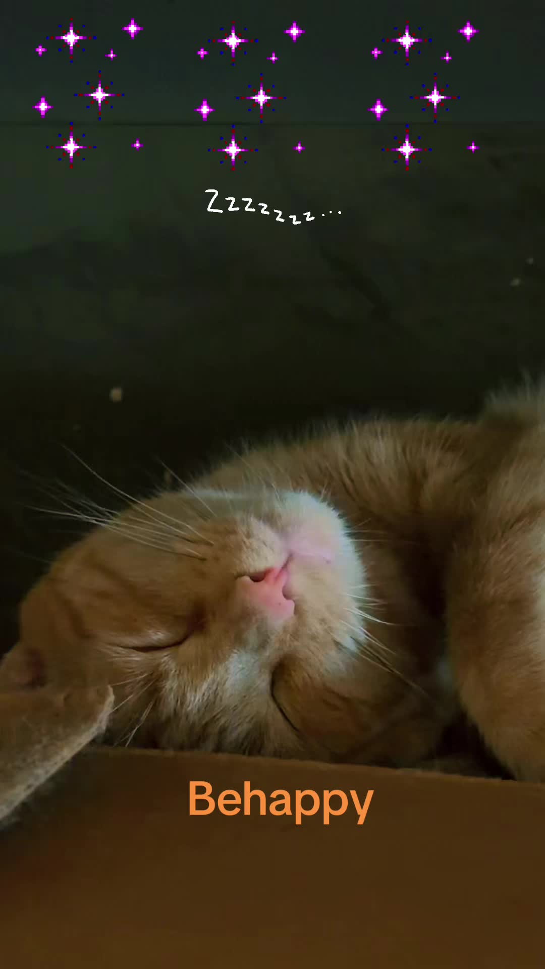 @Amri Gatitos