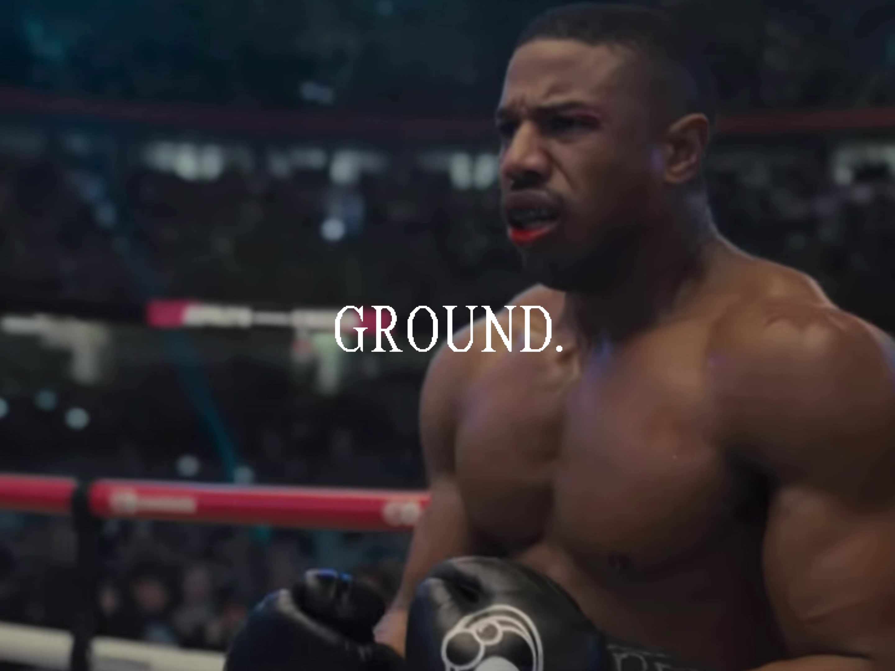 @Lio🥊✨