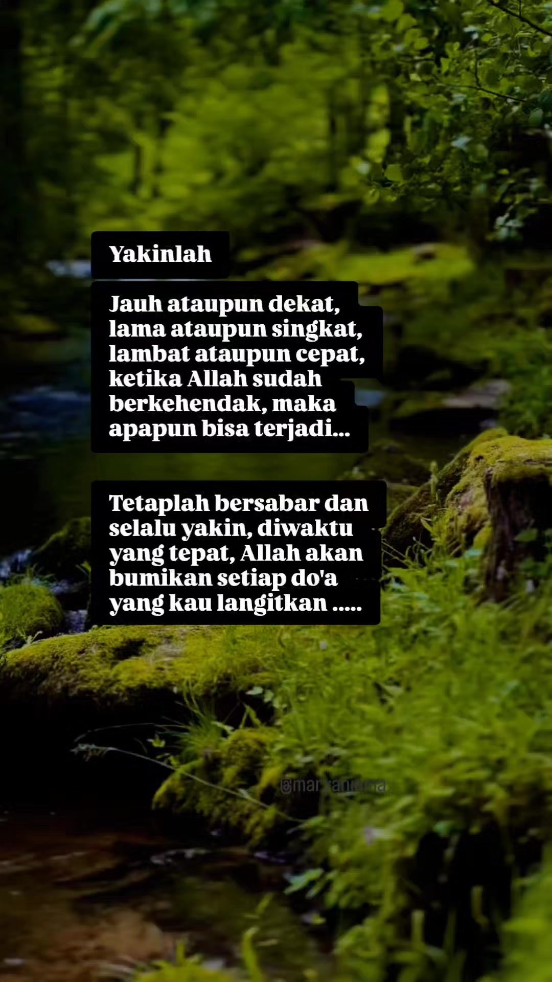 @mamih endut
