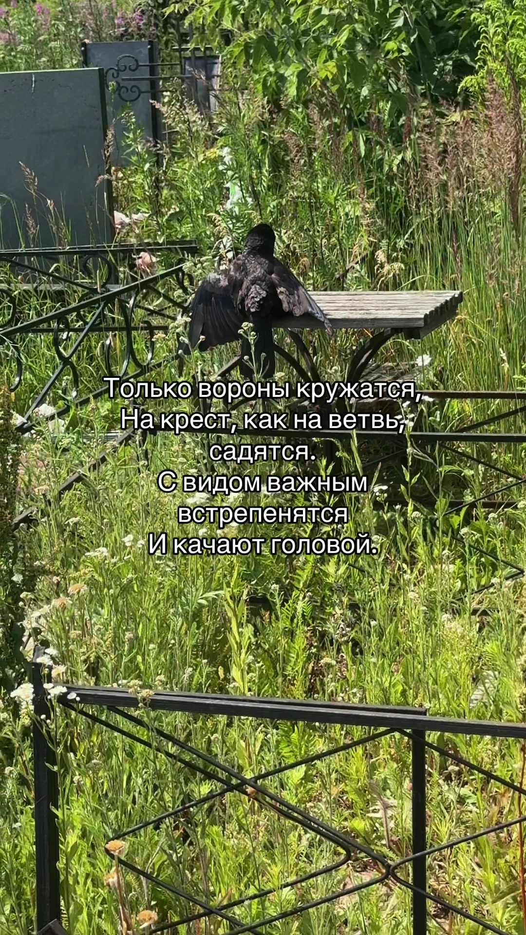@Виктория🕷️| черная мадонна