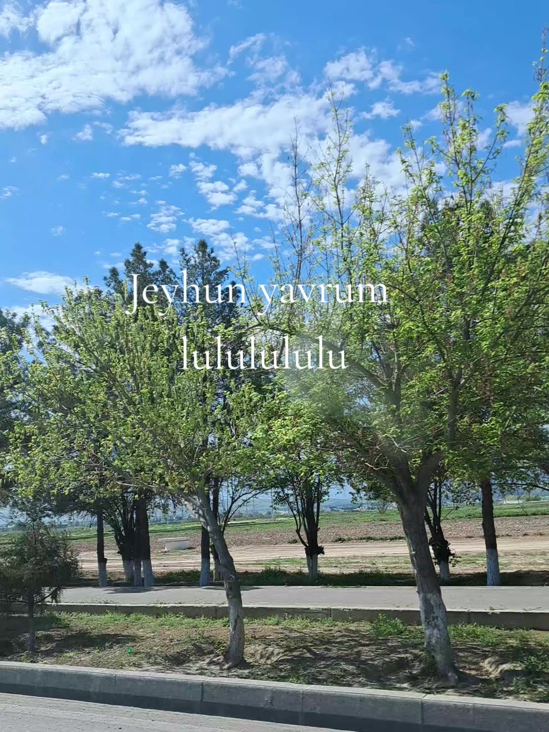 @ibo__7