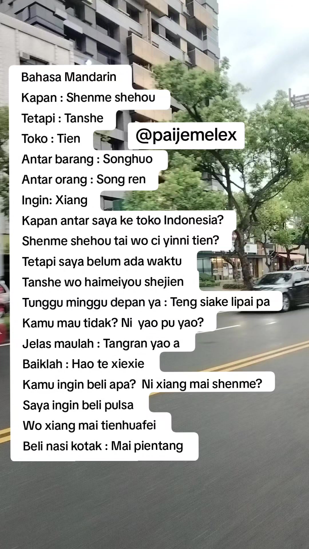@paijemelex