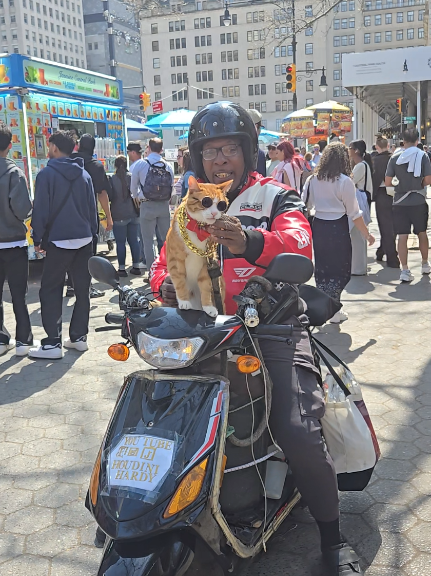 @Gotta Love New York