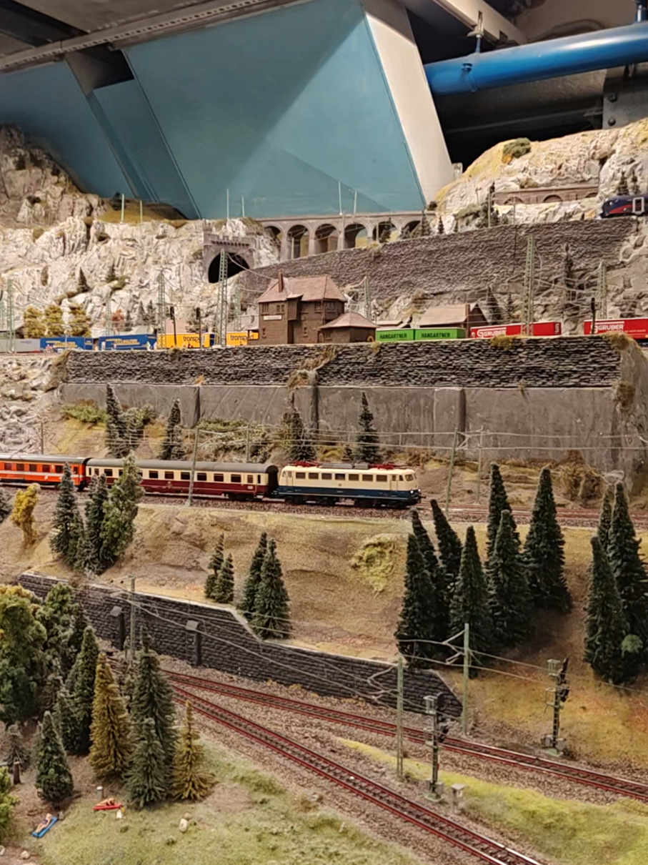 @Ludi 🚂💪