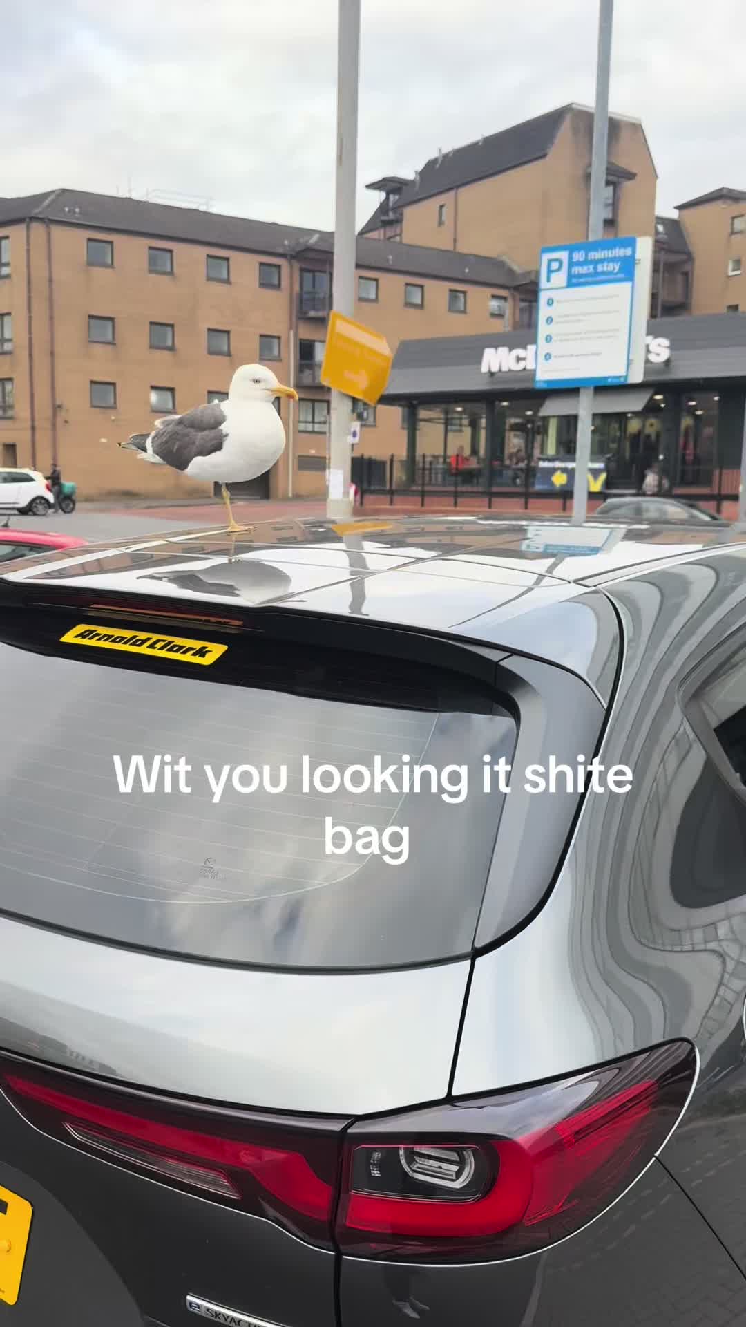@im.nicholaswilson
