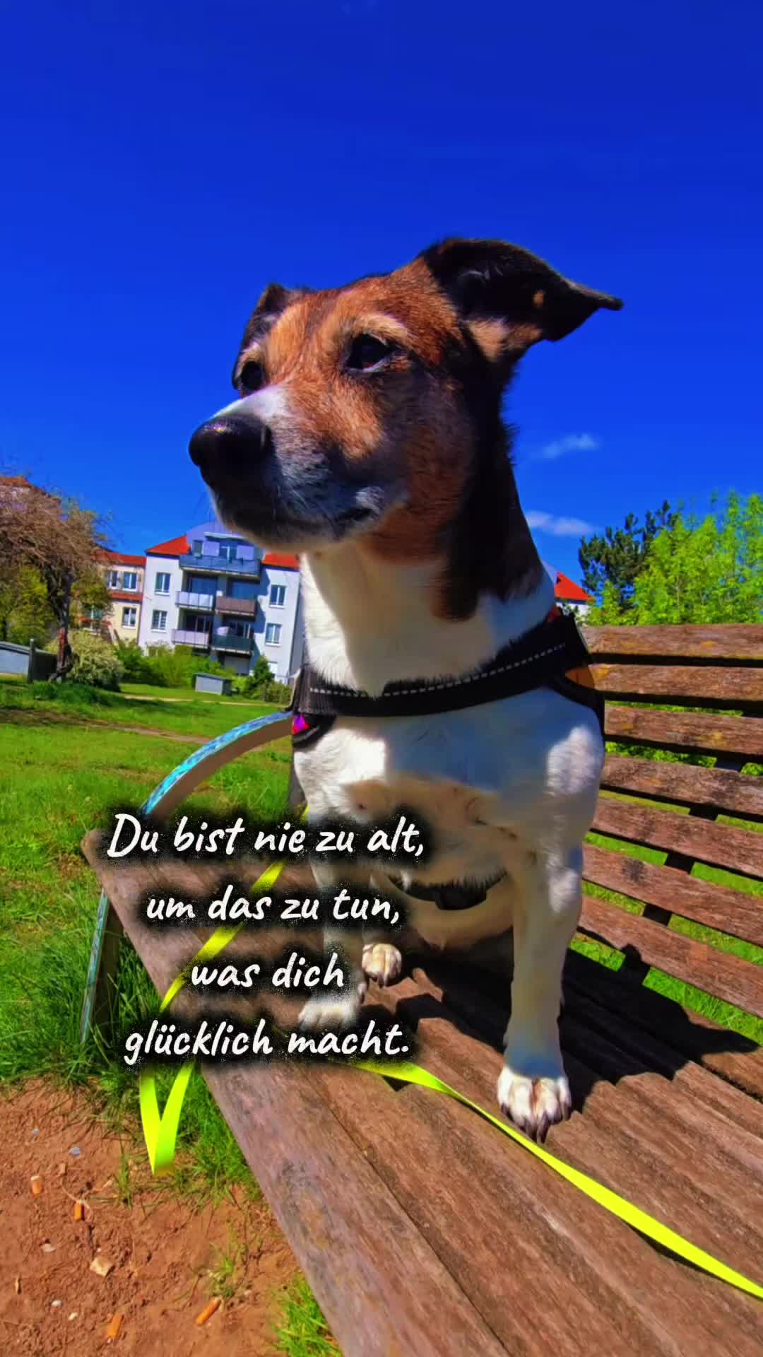 @Shari's wunderbare Welt