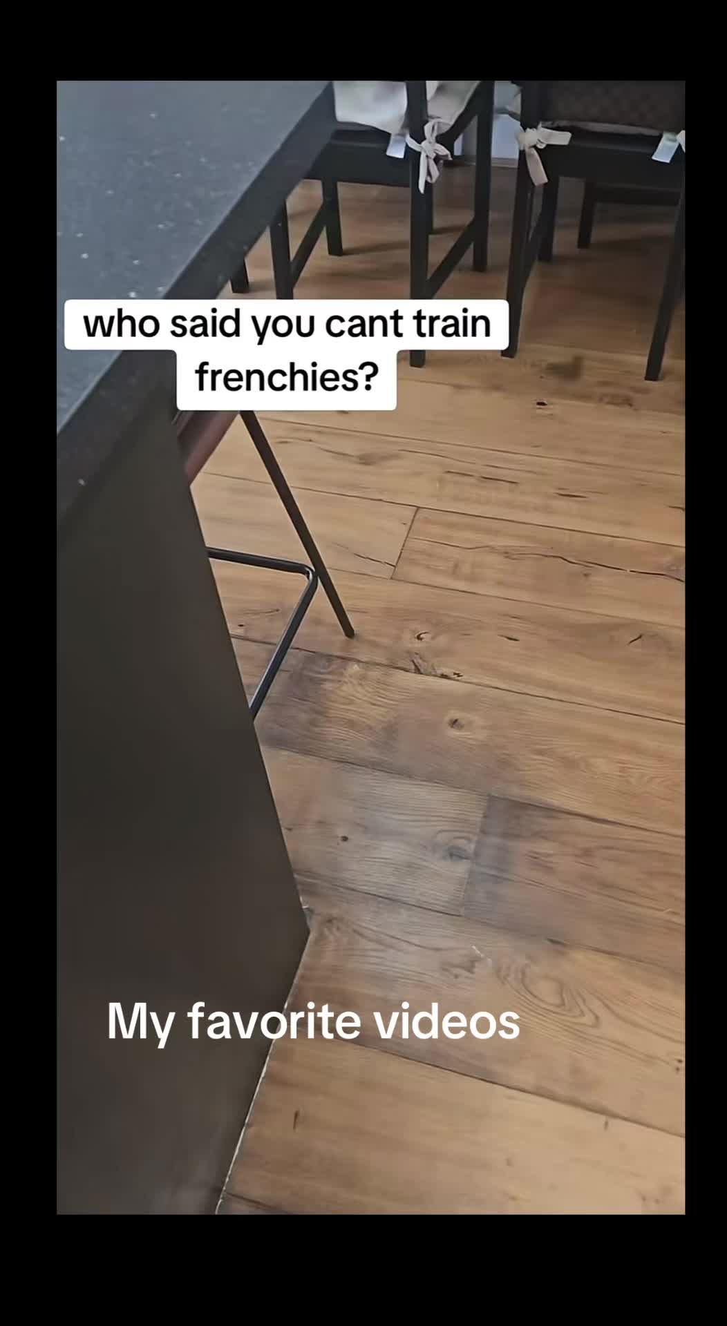 @my favorite videos