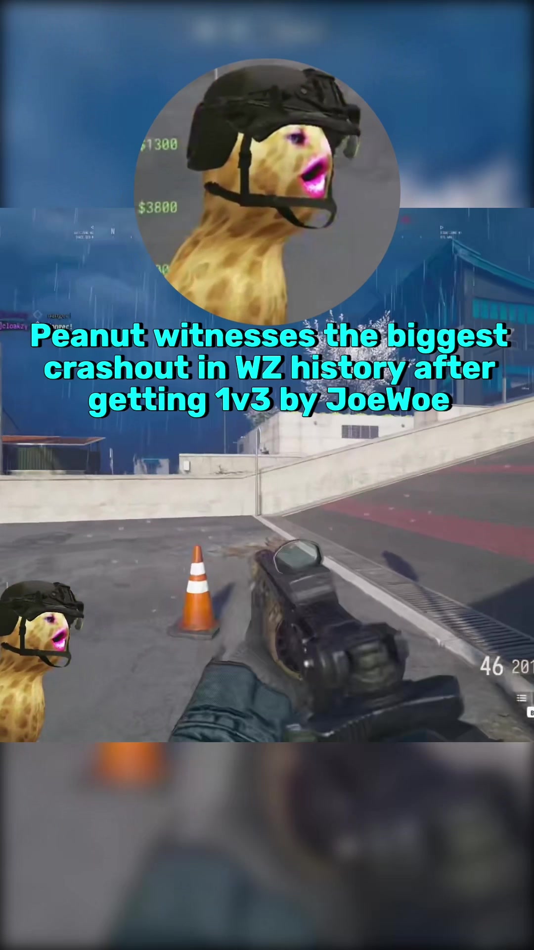 @PeanutClips_Daily