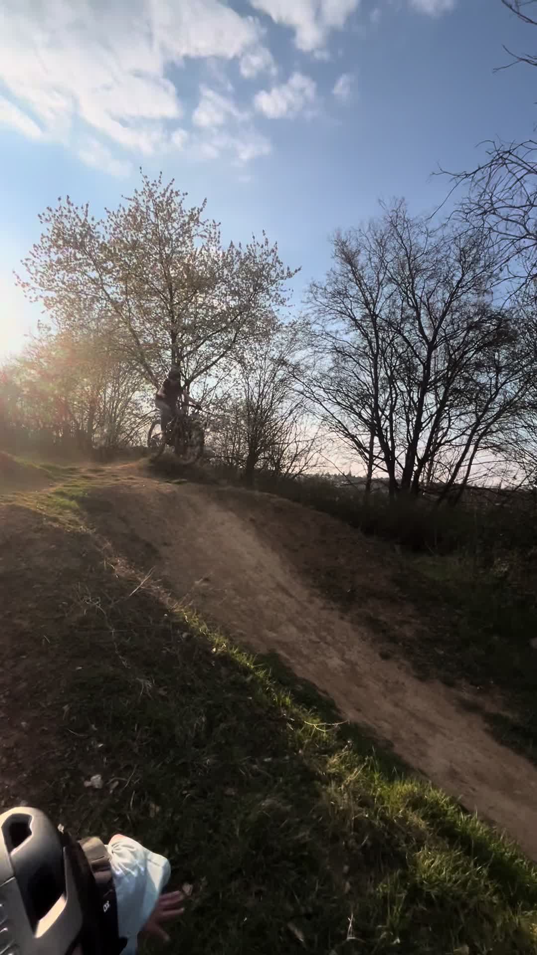@william.mci🌲