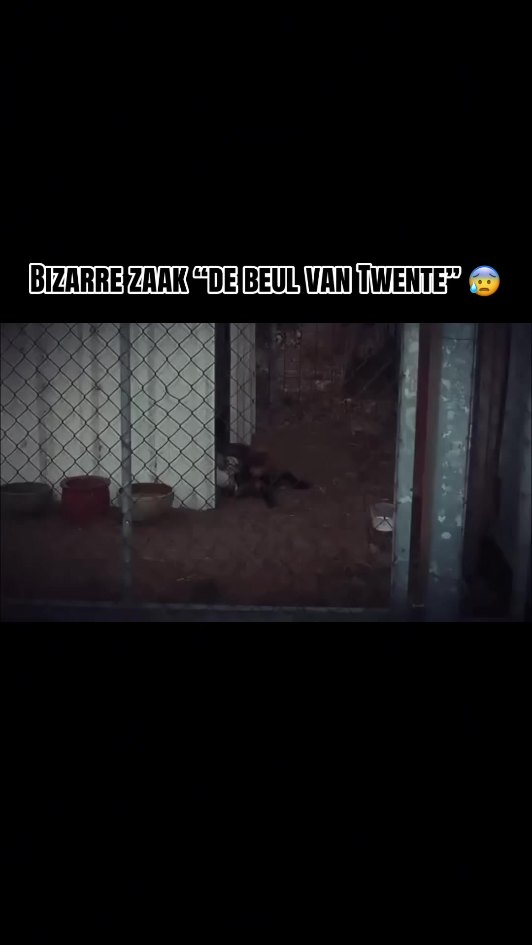 @Tv Momentje 📺😱🤣