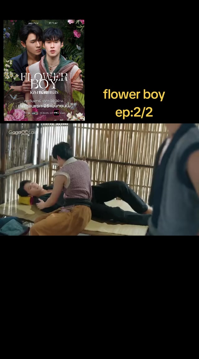 @pp(bl fan)