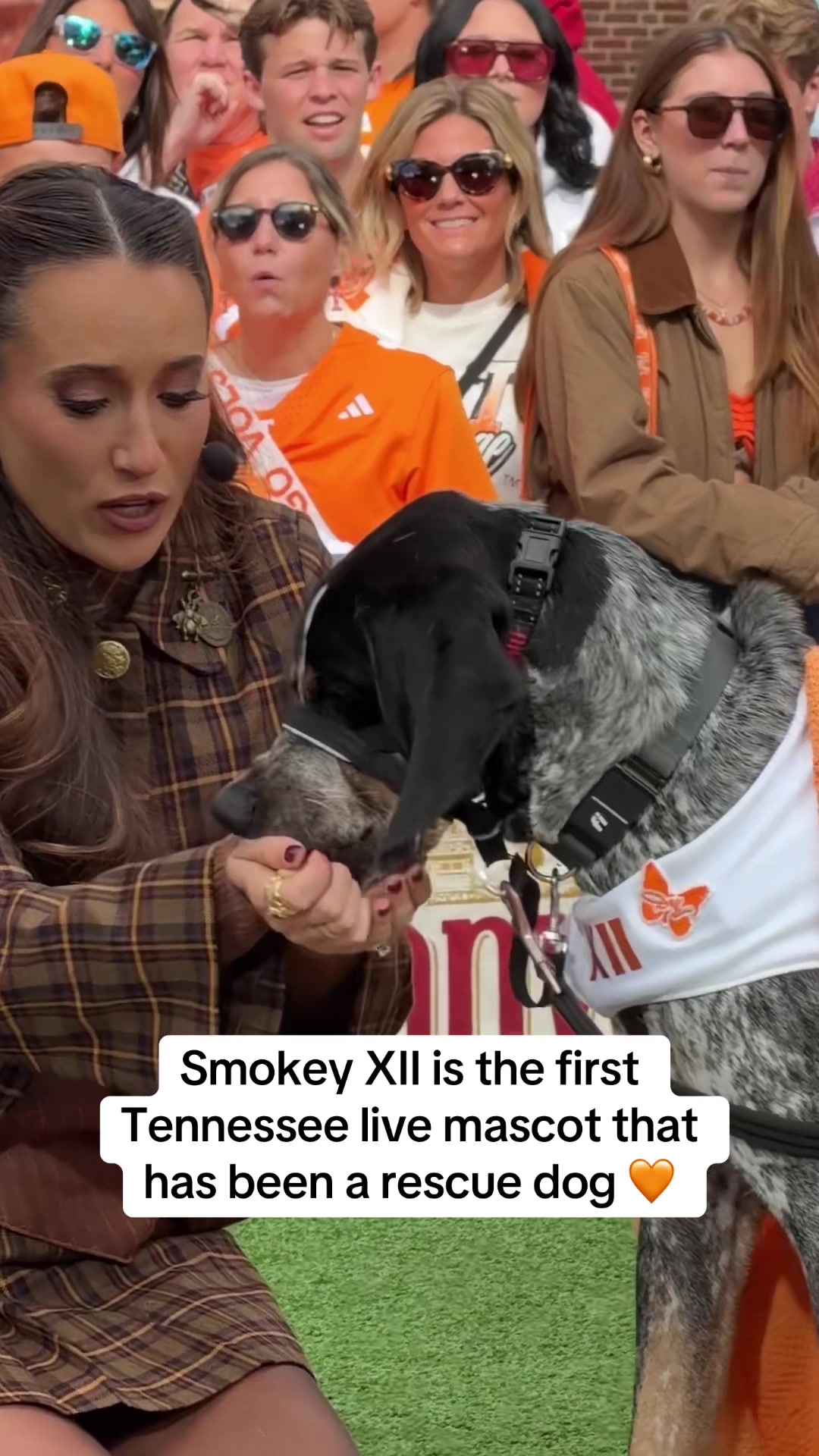 @SECNetwork