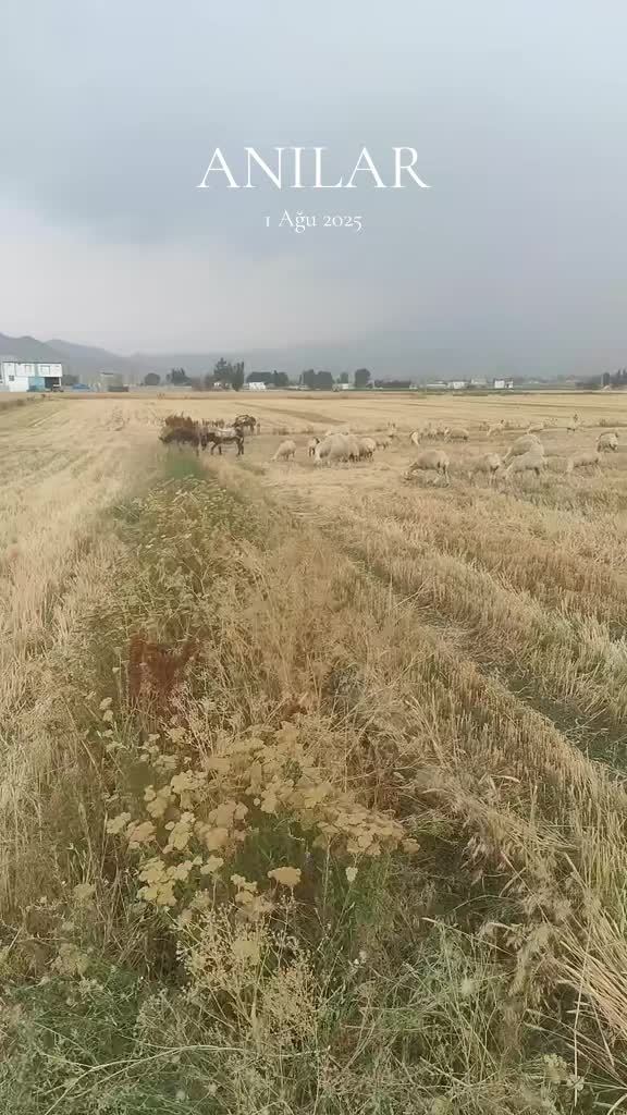 @Emre &Ouml;zt&uuml;rk 51