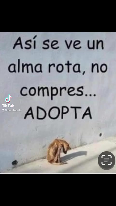 @BelitaPets