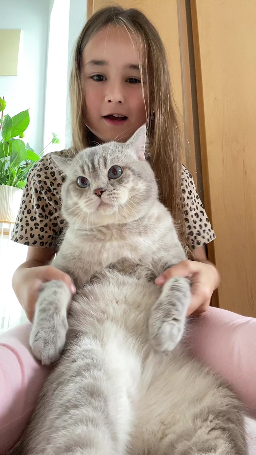 @тгк: Бриковна🎀🐰