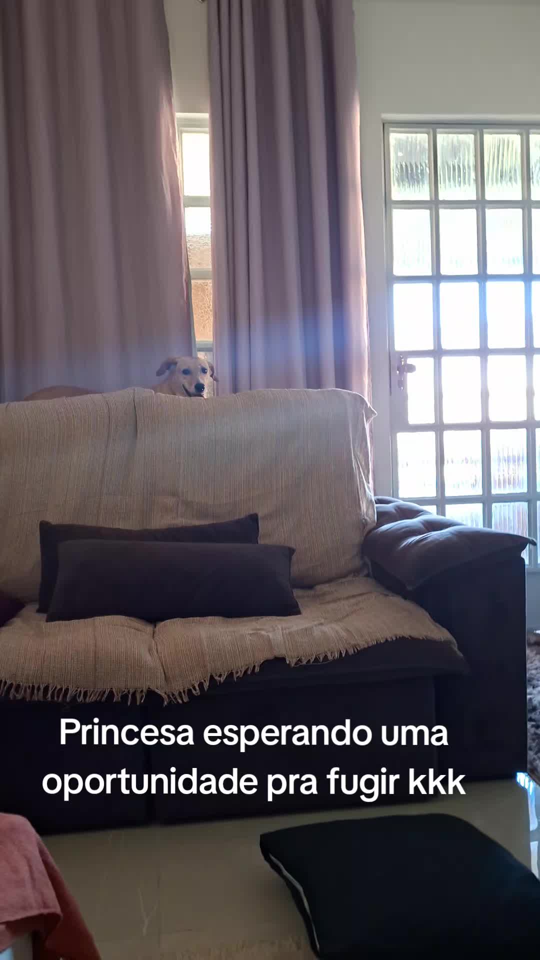 @Kellen Costa