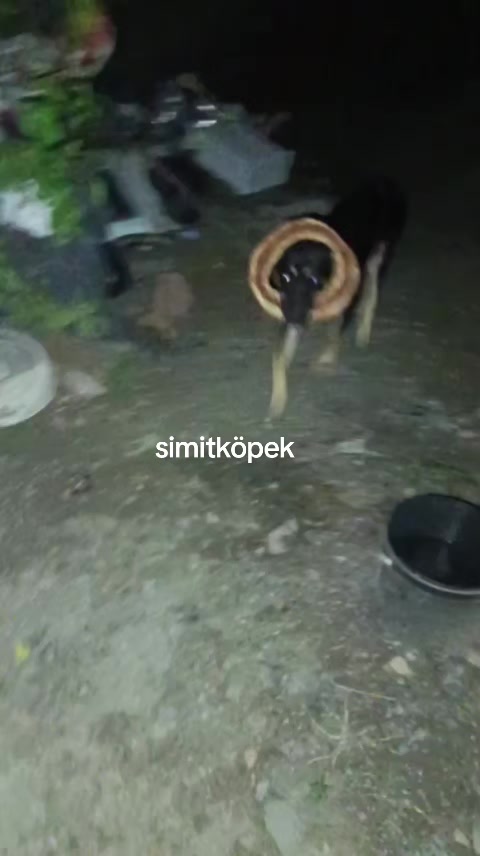 @ཐི⦻ཋྀ