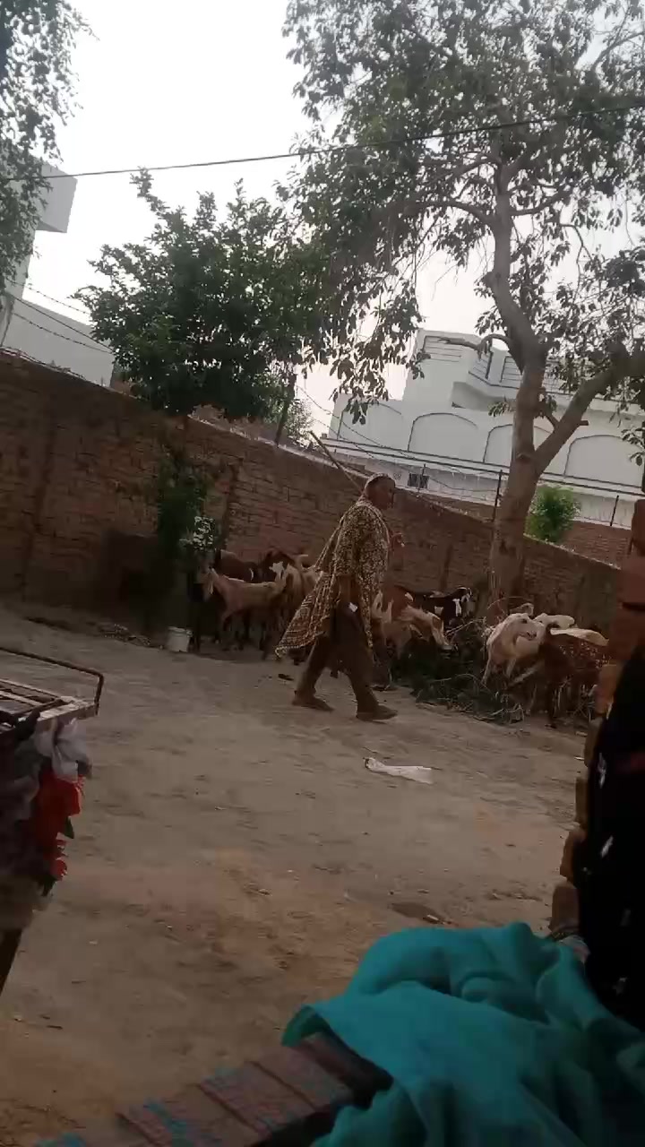 @MHaseeb