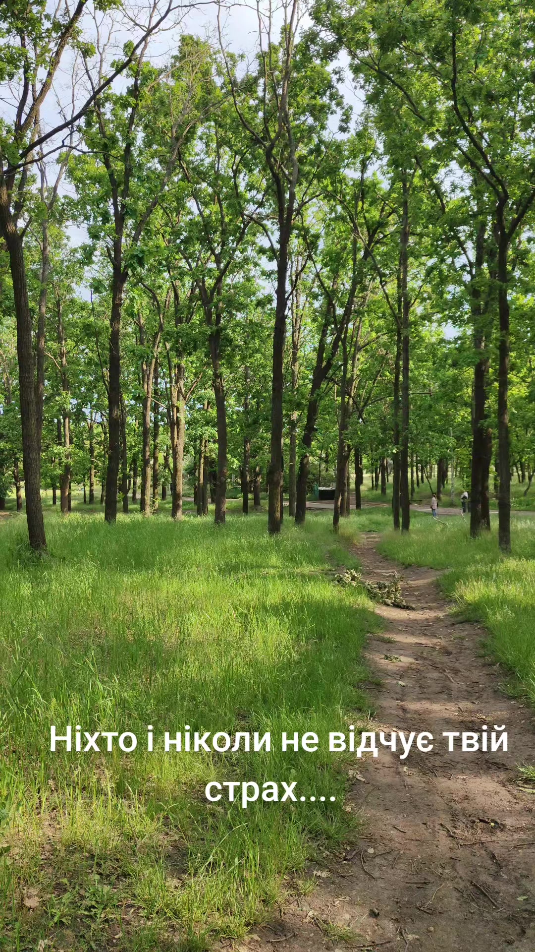 @Міледі ✓✓✓