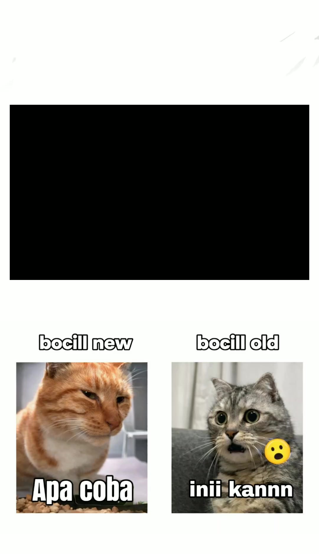 @๐๐๐ง๐งใ
