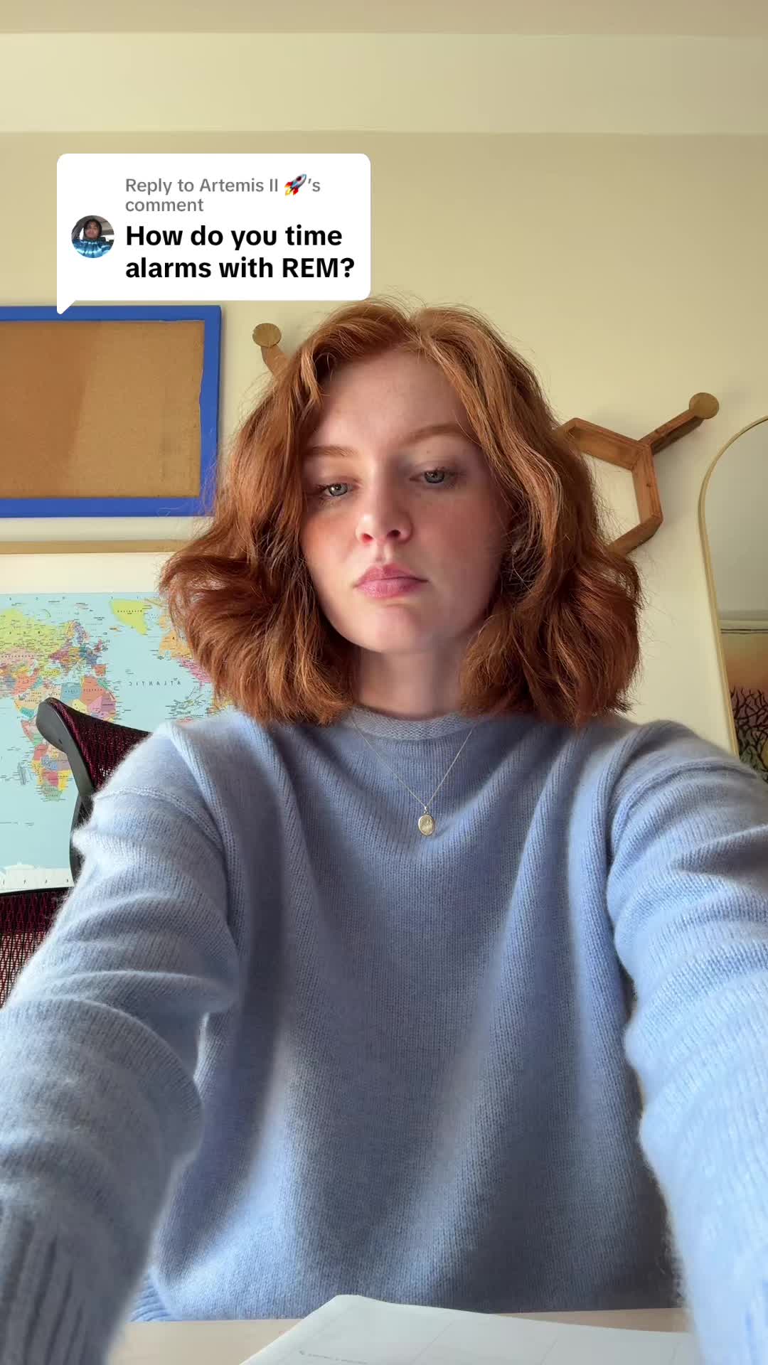 @meepiosaurus