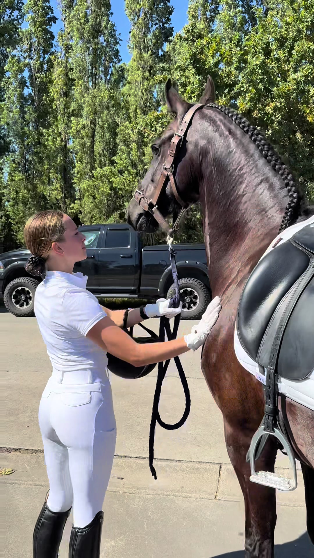 @Phoebe Tack Dressage