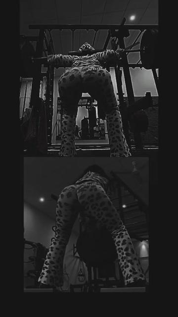 @🐆TIGRESHA.3🐾