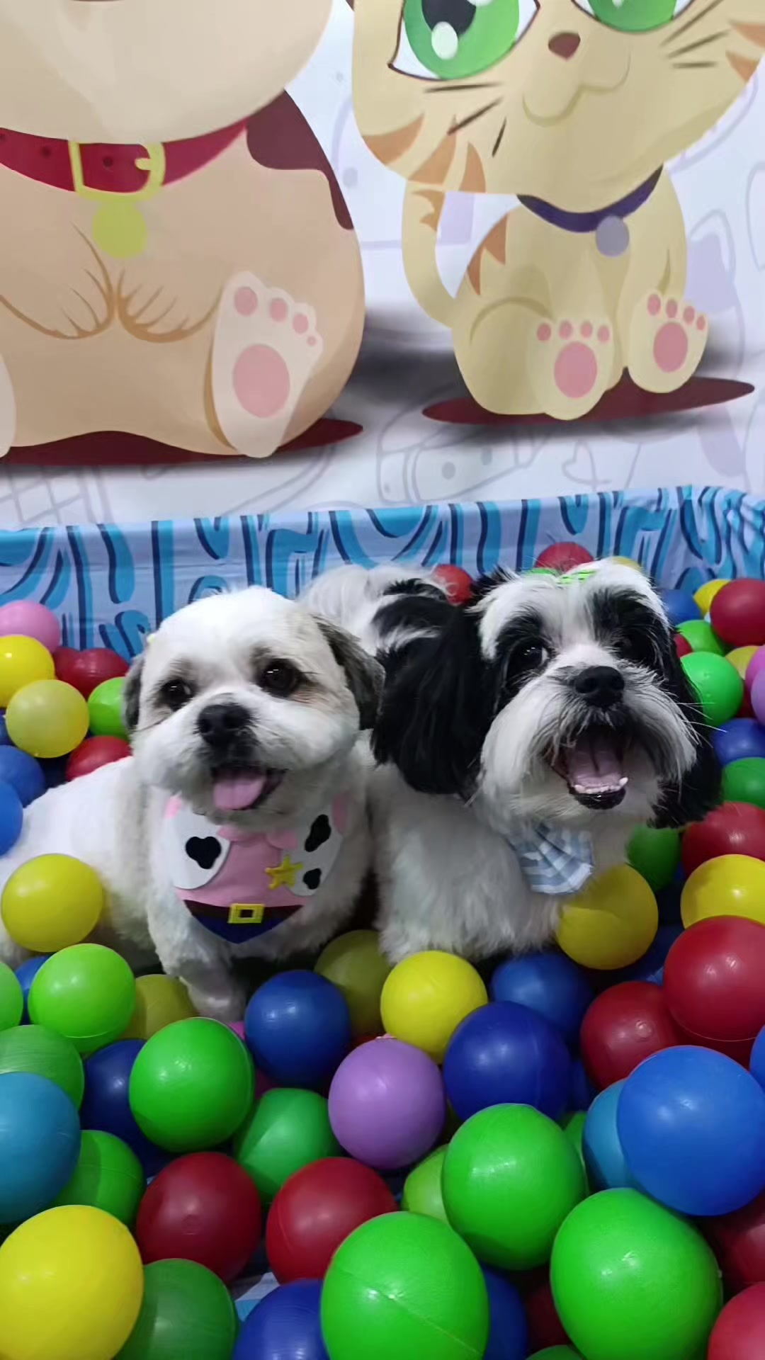 @Dog Ville Petcare