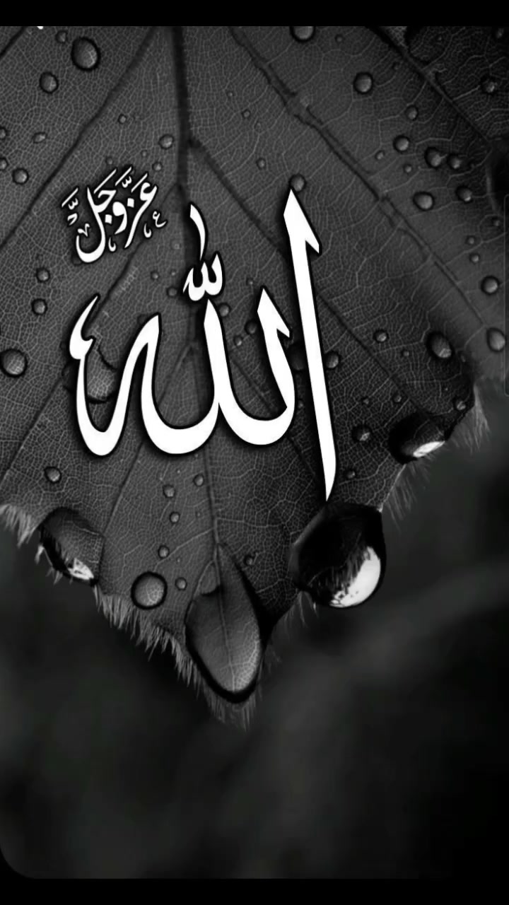 @soul of islam