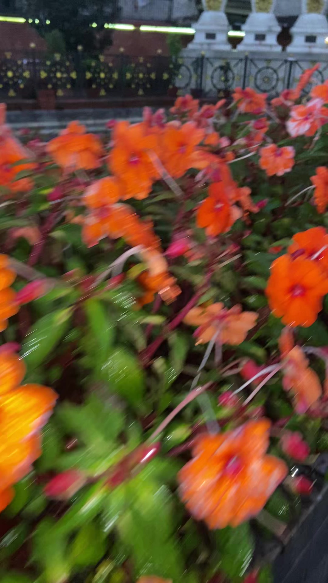 @tashidolmahyolmo2