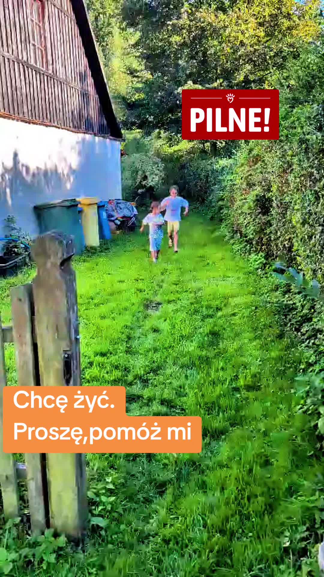 @Dobro wraca