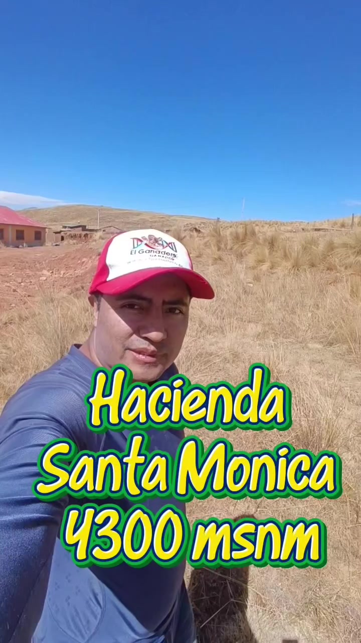@El Ganadero Ganador