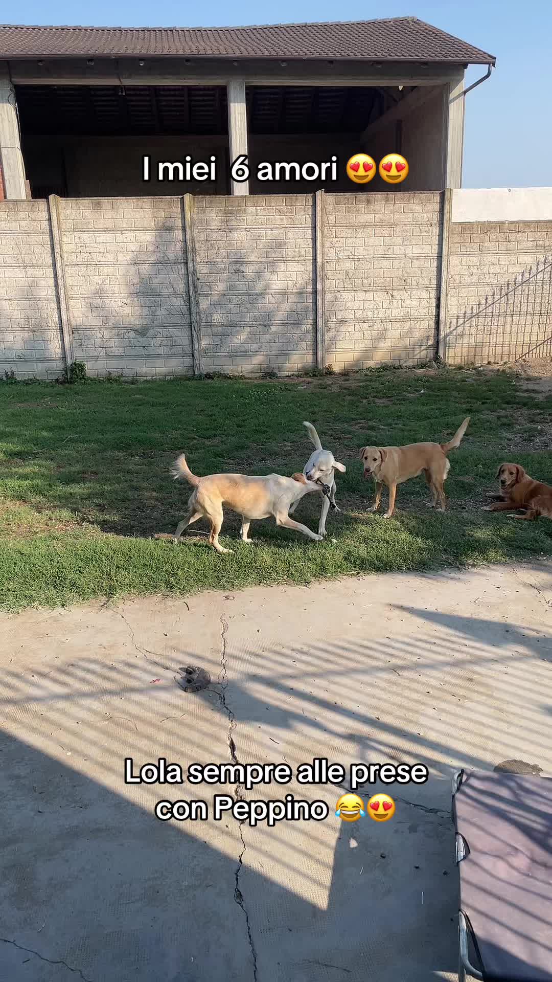 @KIRA❤️LEYLA💙