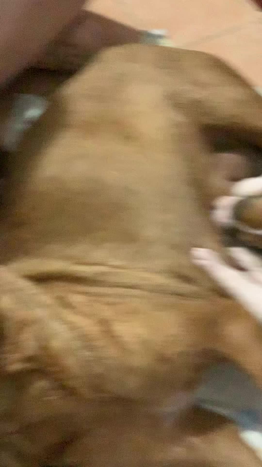 @Milibarrios