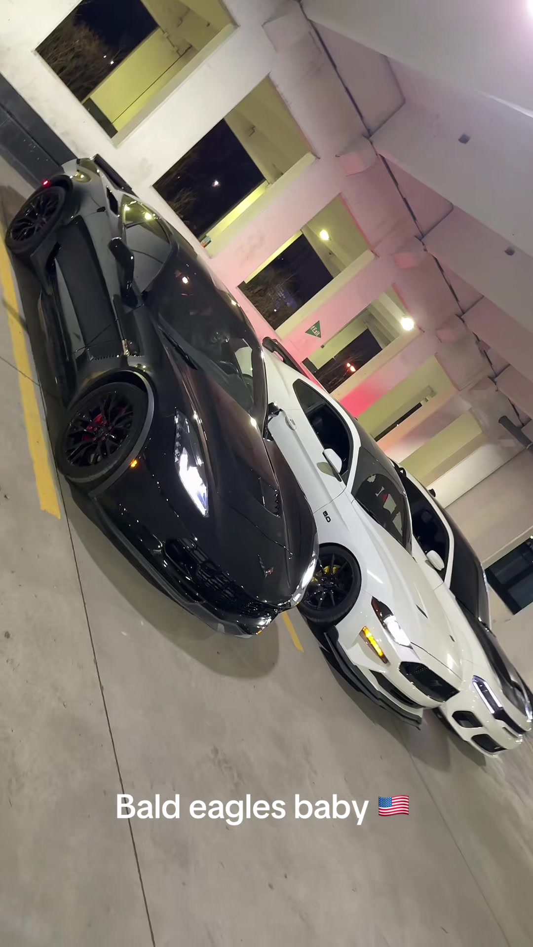 @abhayriar